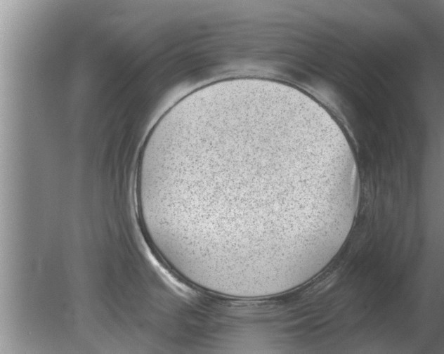 X0000080181391200612302234