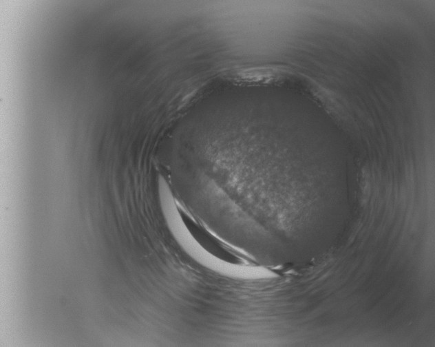 X0000080181394200612302233