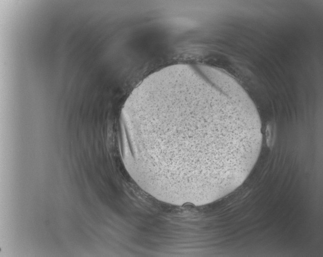 X0000080181395200612302233