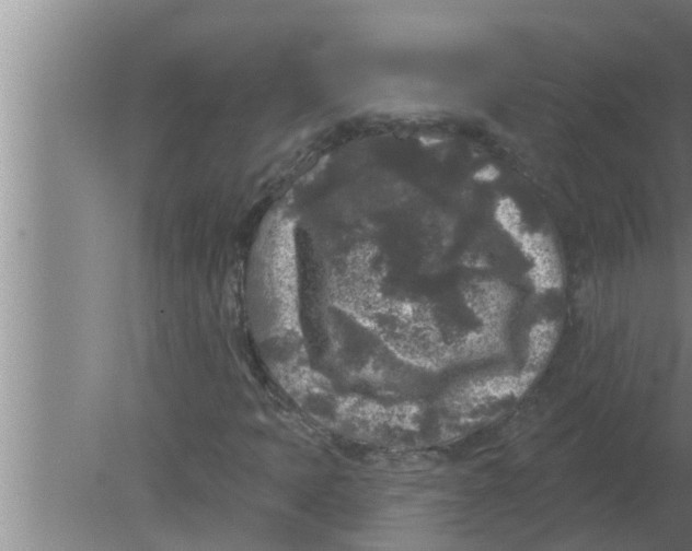 X0000080181397200612302233