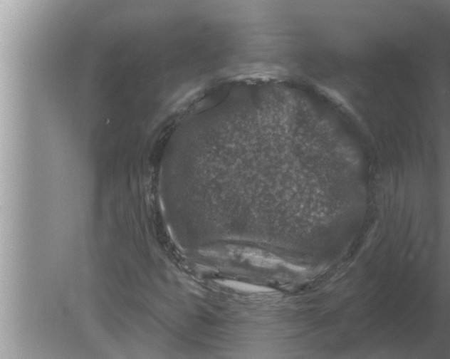 X0000080181399200612302233