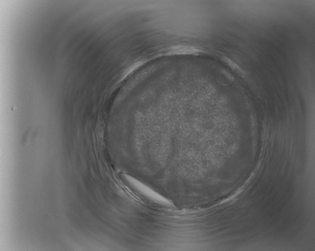 X0000080181401200612302233