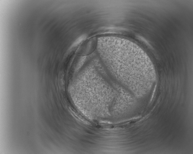 X0000080181403200612302233