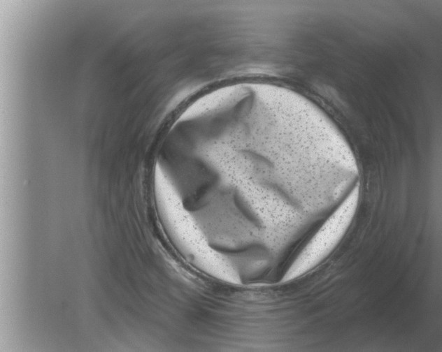 X0000080181404200612302233