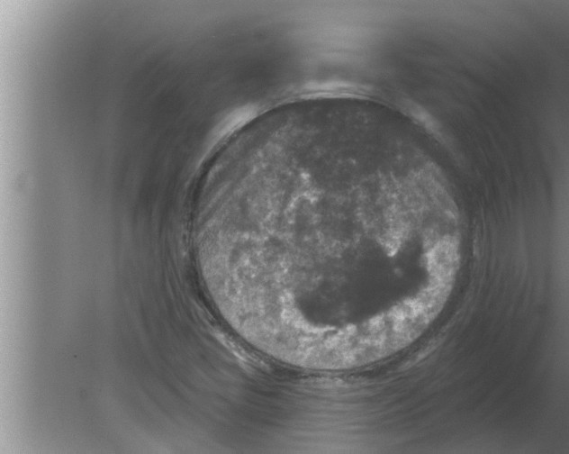 X0000080181405200612302233