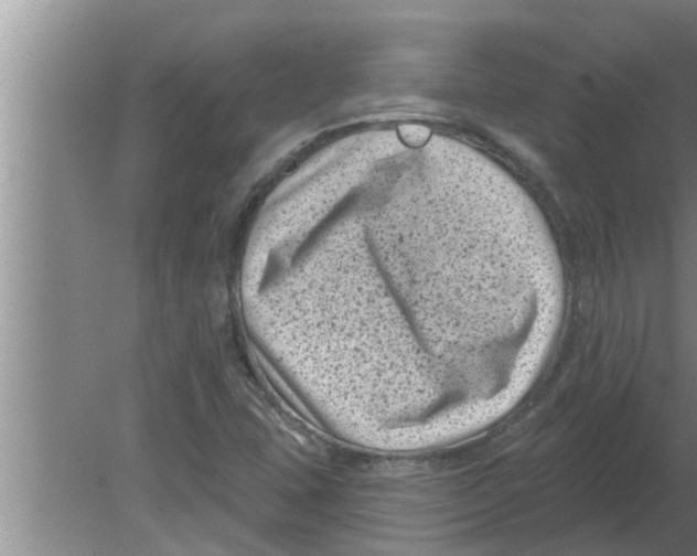 X0000080181407200612302233