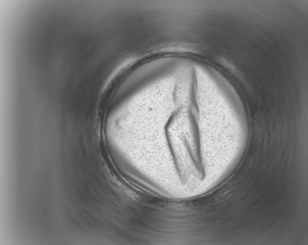 X0000080181408200612302233