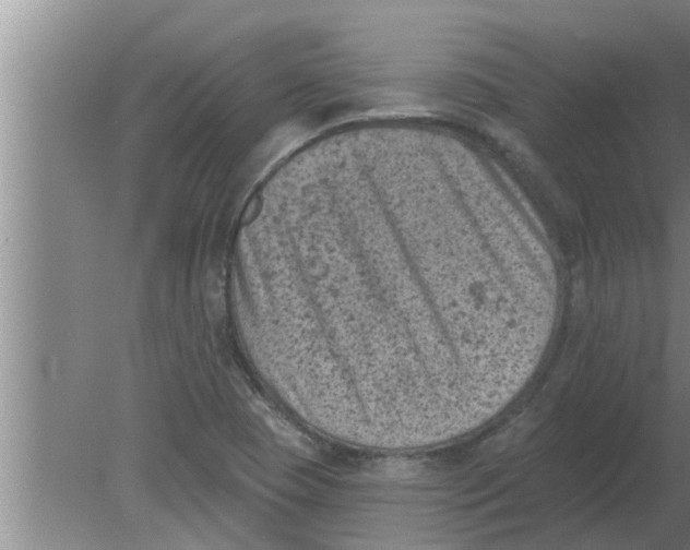 X0000080181409200612302233