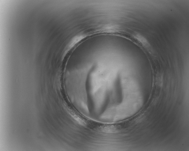 X0000080181410200612302233