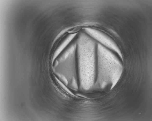 X0000080181412200612302233