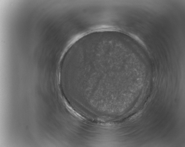 X0000080181413200612302233