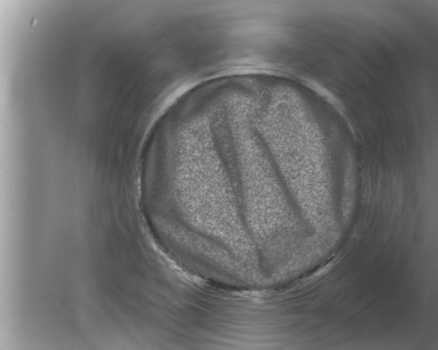 X0000080181415200612302233