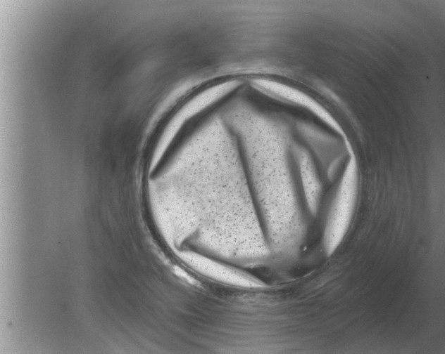 X0000080181416200612302233