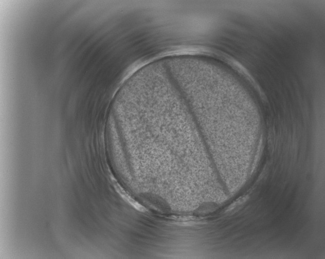 X0000080181417200612302233