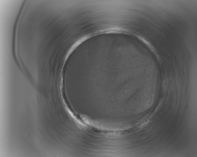 X0000080181418200612302233