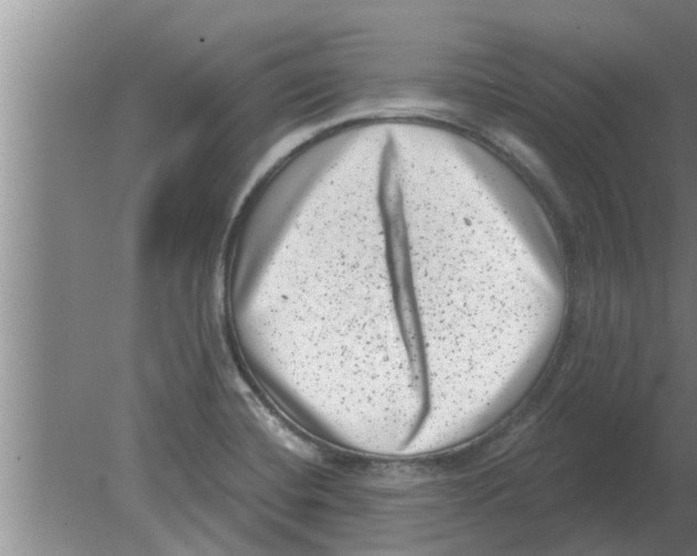 X0000080181420200612302233