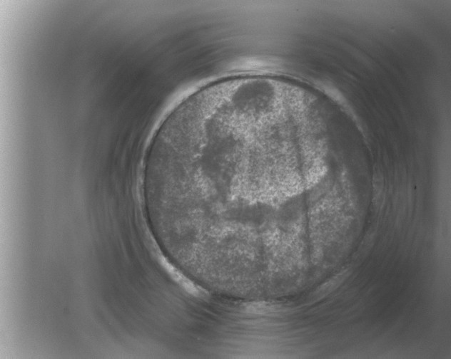 X0000080181421200612302233