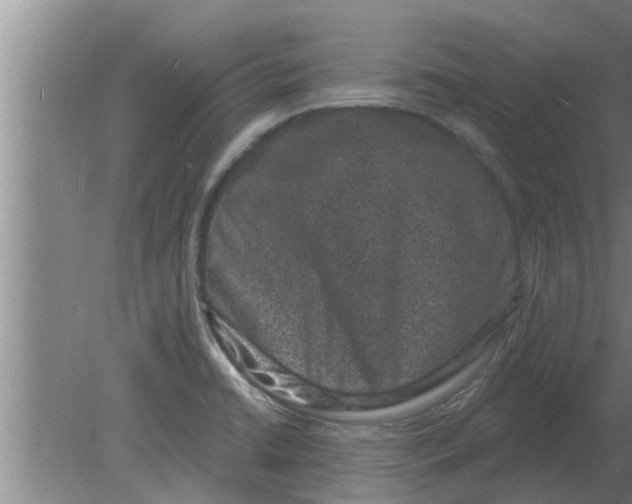 X0000080181422200612302233