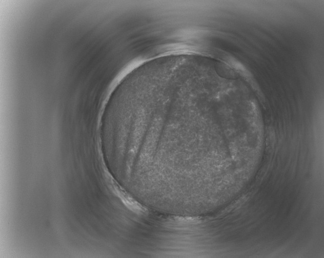 X0000080181427200612302233