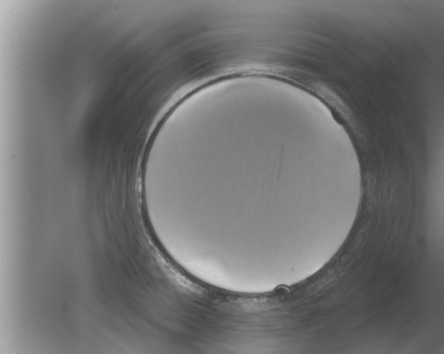 X0000080181428200612302233