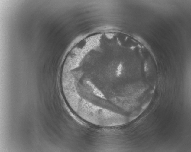 X0000080181429200612302233