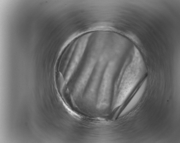 X0000080181430200612302233