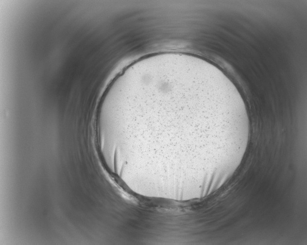 X0000080181432200612302233