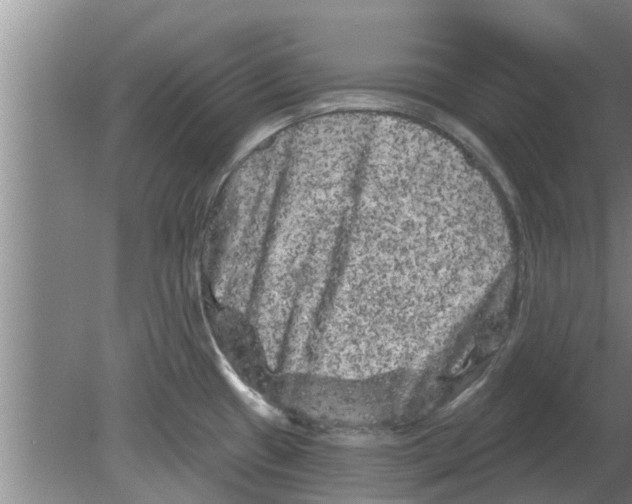 X0000080181433200612302234