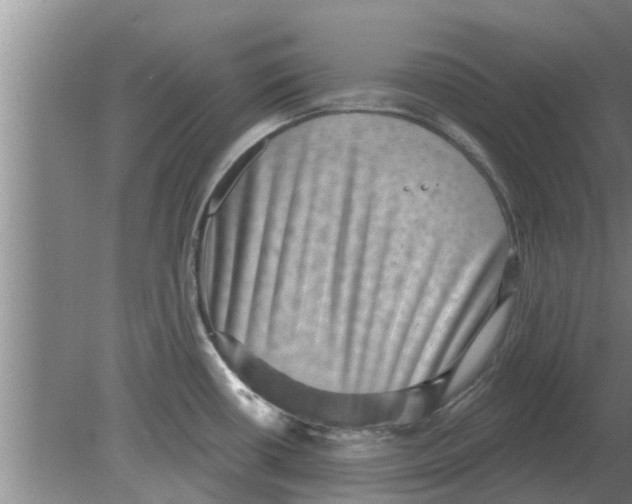 X0000080181434200612302234