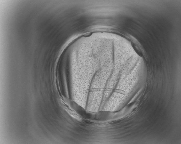 X0000080181435200612302234