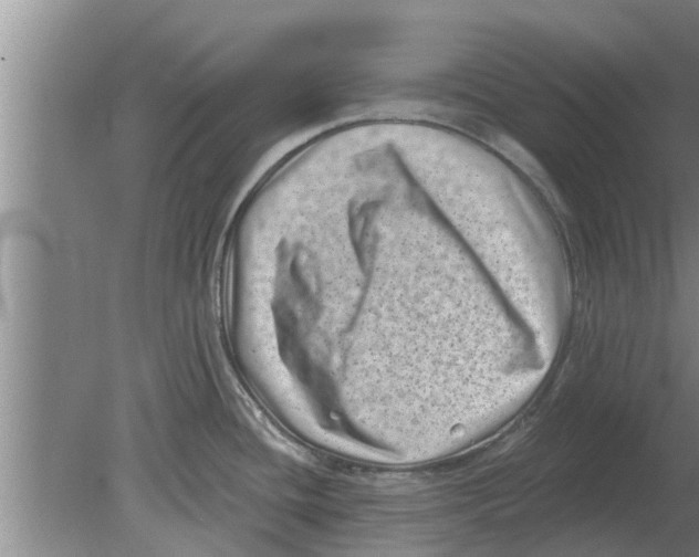 X0000080181436200612302234