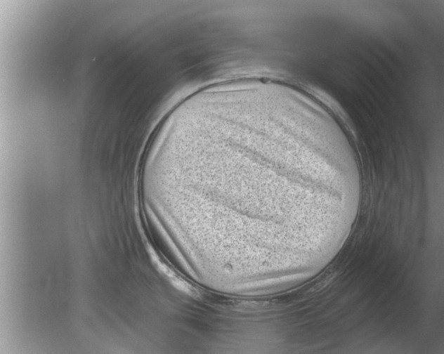 X0000080181439200612302234