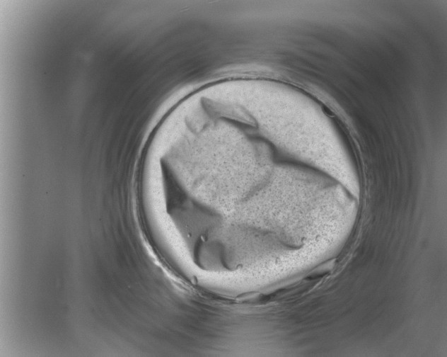 X0000080181440200612302234