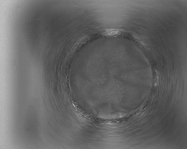 X0000080181441200612302233