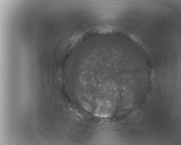 X0000080181445200612302233