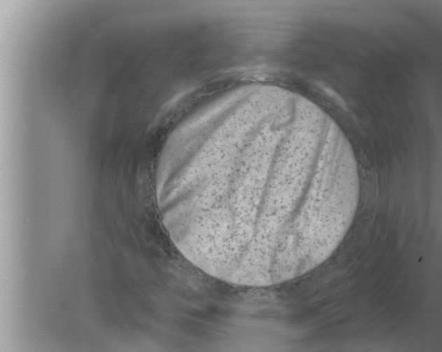 X0000080181446200612302233