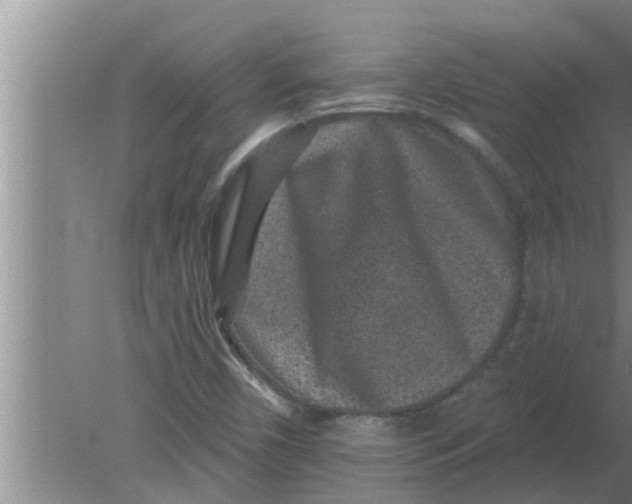 X0000080181450200612302233