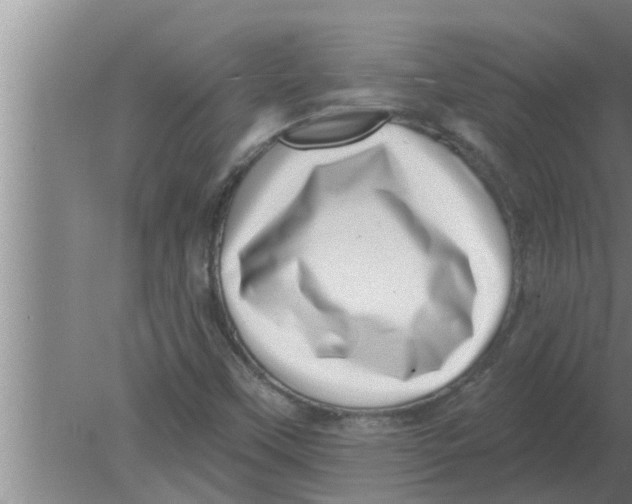 X0000080181451200612302233