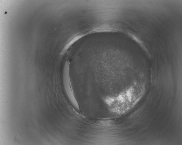 X0000080181453200612302233