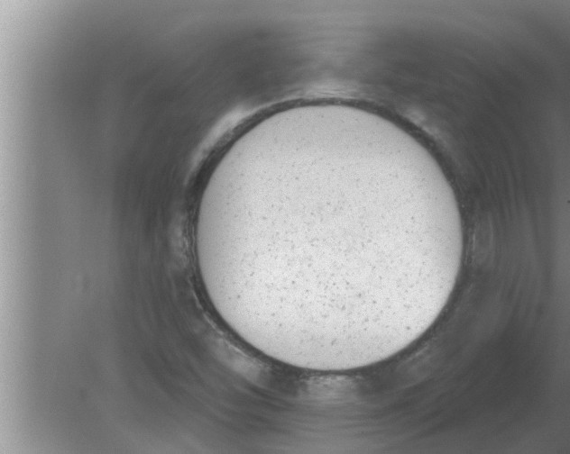 X0000080181454200612302233