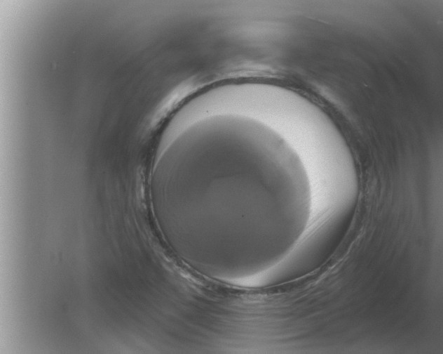 X0000080181455200612302233