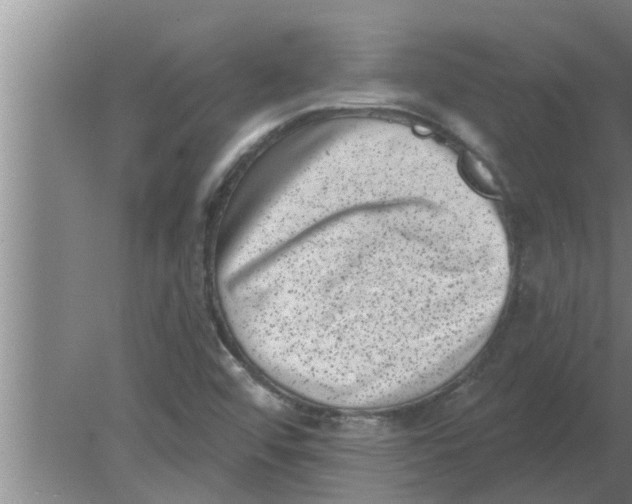 X0000080181456200612302233