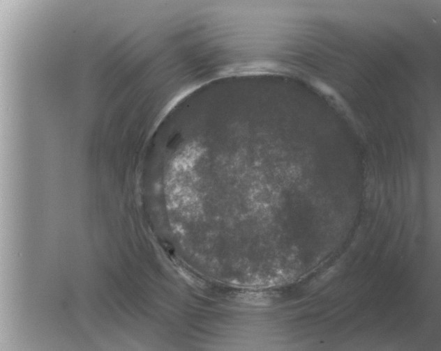 X0000080181457200612302233