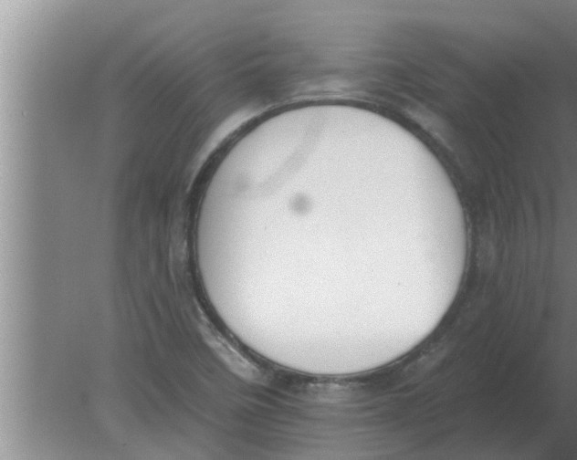 X0000080181458200612302233