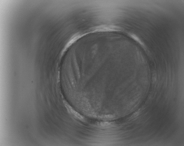 X0000080181459200612302233