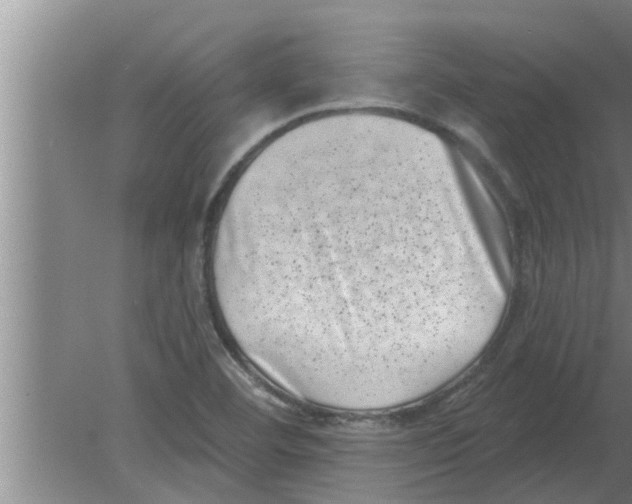 X0000080181460200612302232