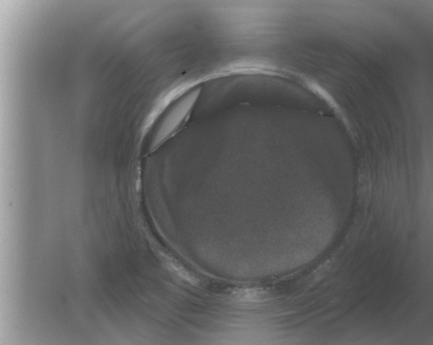 X0000080181461200612302232