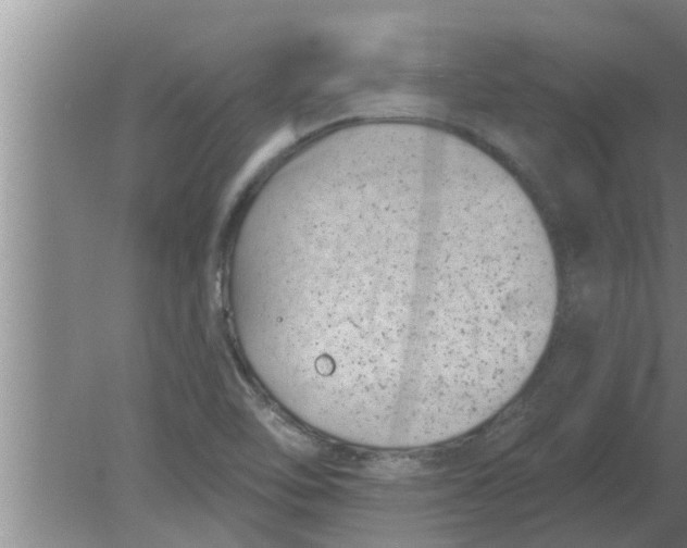 X0000080181462200612302232