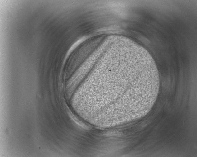 X0000080181466200612302232