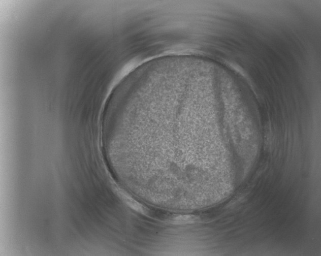 X0000080181467200612302232